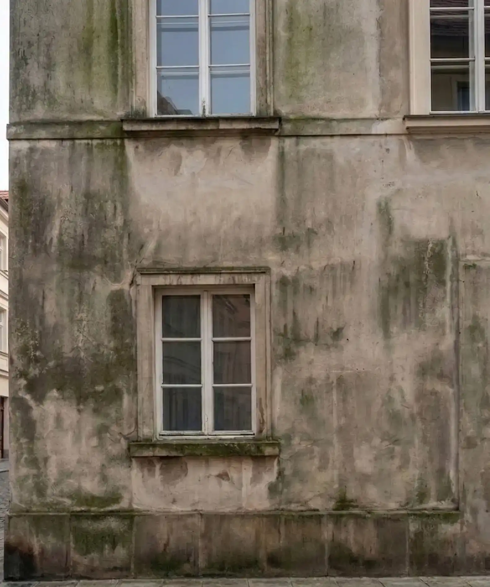 Moderne Hausfassade stark verschmutzt durch dunklen Algenbefall, Moos und Wettereinflüsse vor der Reinigung.