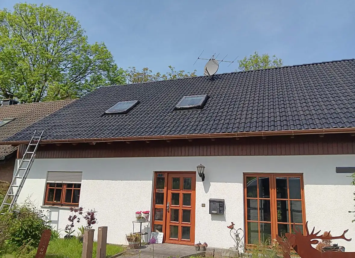 Dachgereinigt Nachher