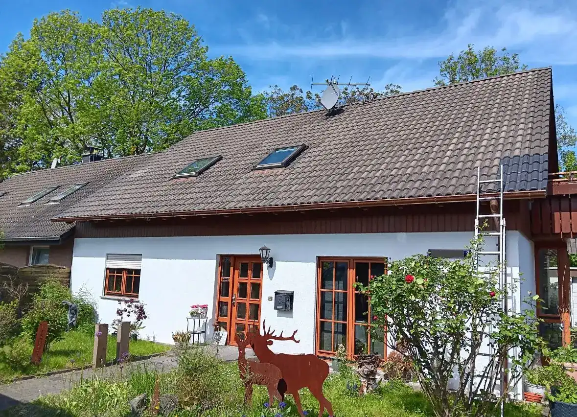 Dachungereinigt Vorher