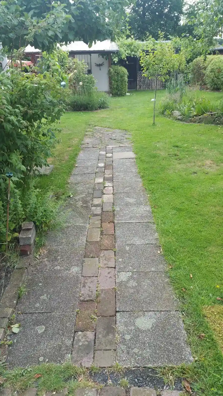 Steinreinigung NRW Vorher: Unbefestigte Gartenfläche mit starkem Unkrautbewuchs vor den professionellen Pflasterarbeiten.