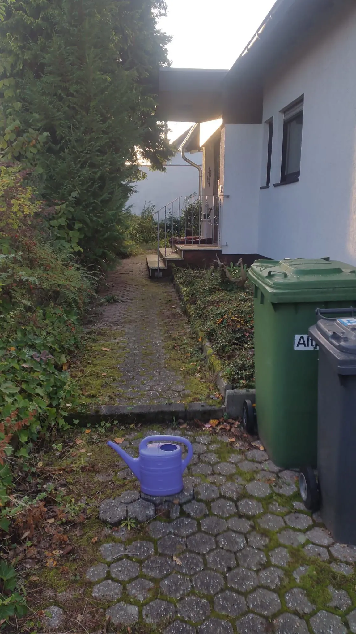 Steinversiegelung Vorher